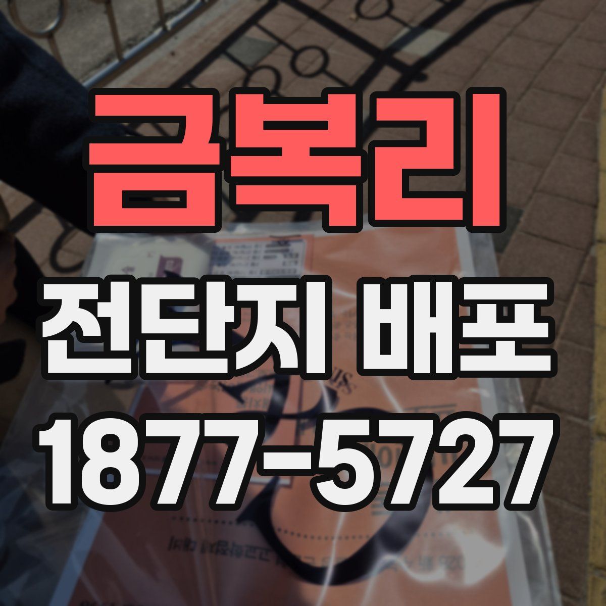 금복리 전단지 배포