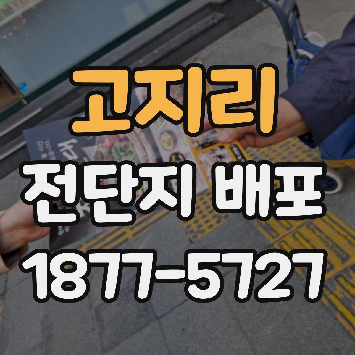 고지리 전단지 배포