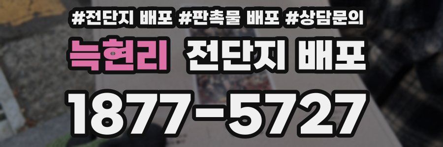 늑현리 전단지 배포
