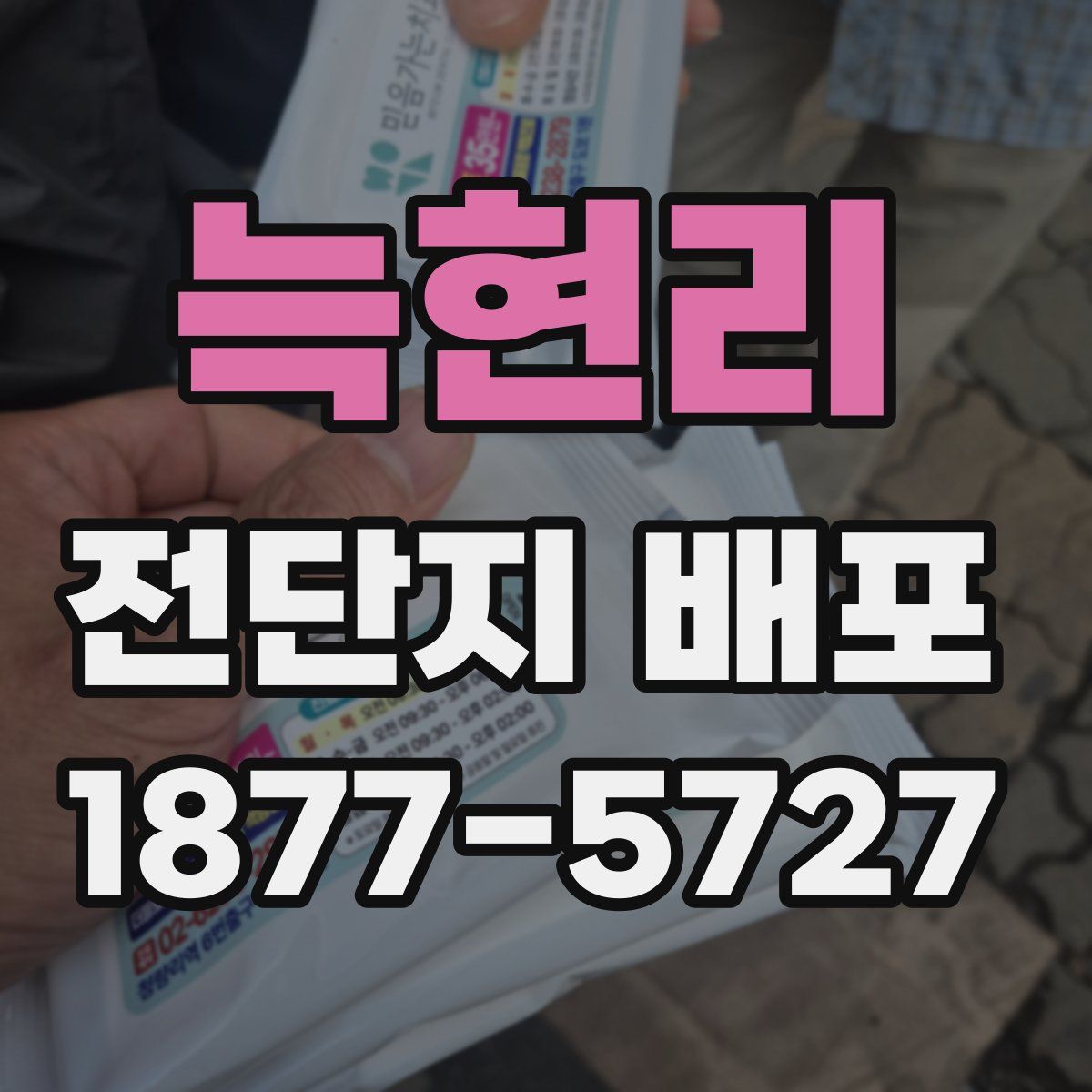 늑현리 전단지 배포