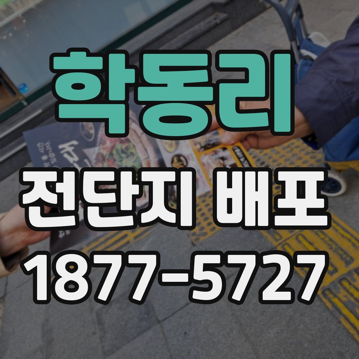 학동리 전단지 배포
