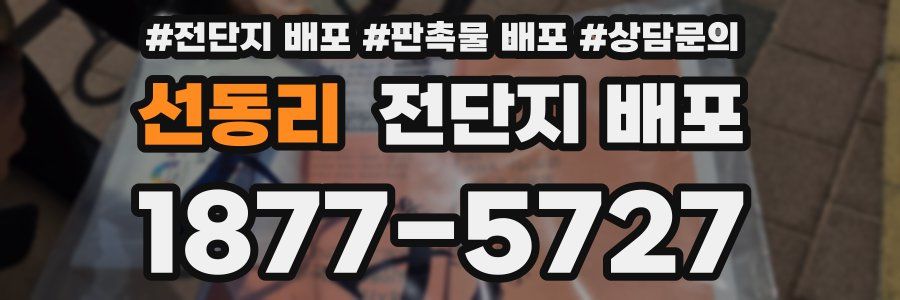 선동리 전단지 배포