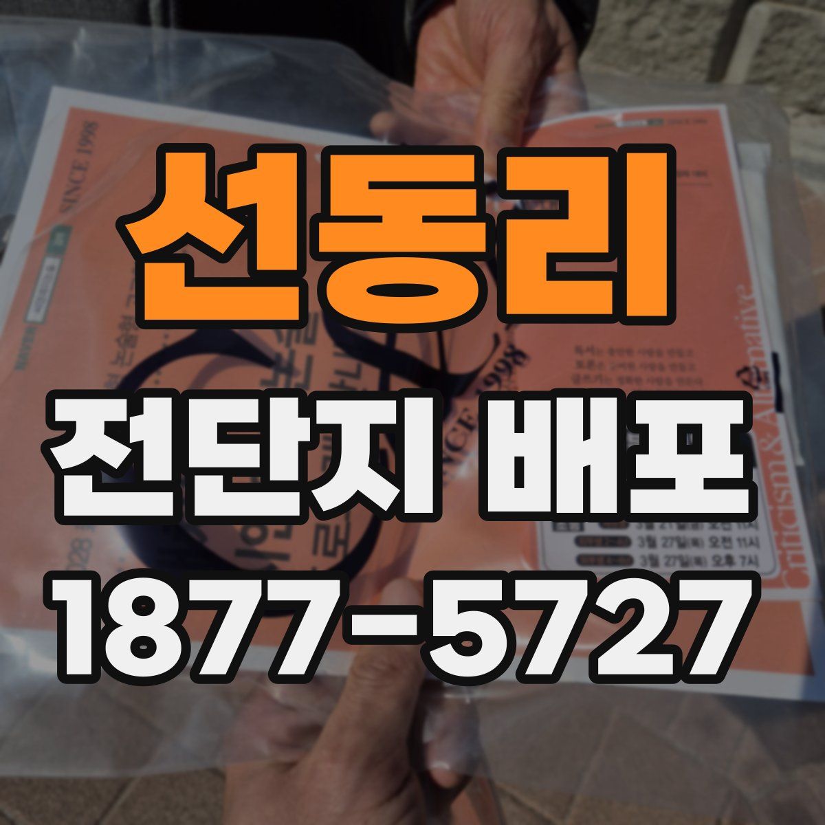 선동리 전단지 배포