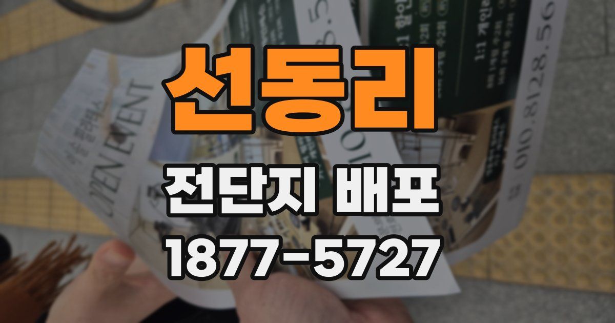 선동리 전단지 배포