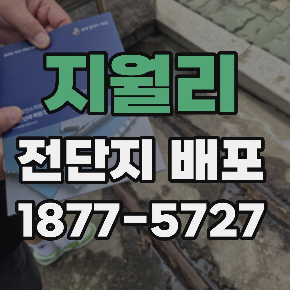 지월리 전단지 배포