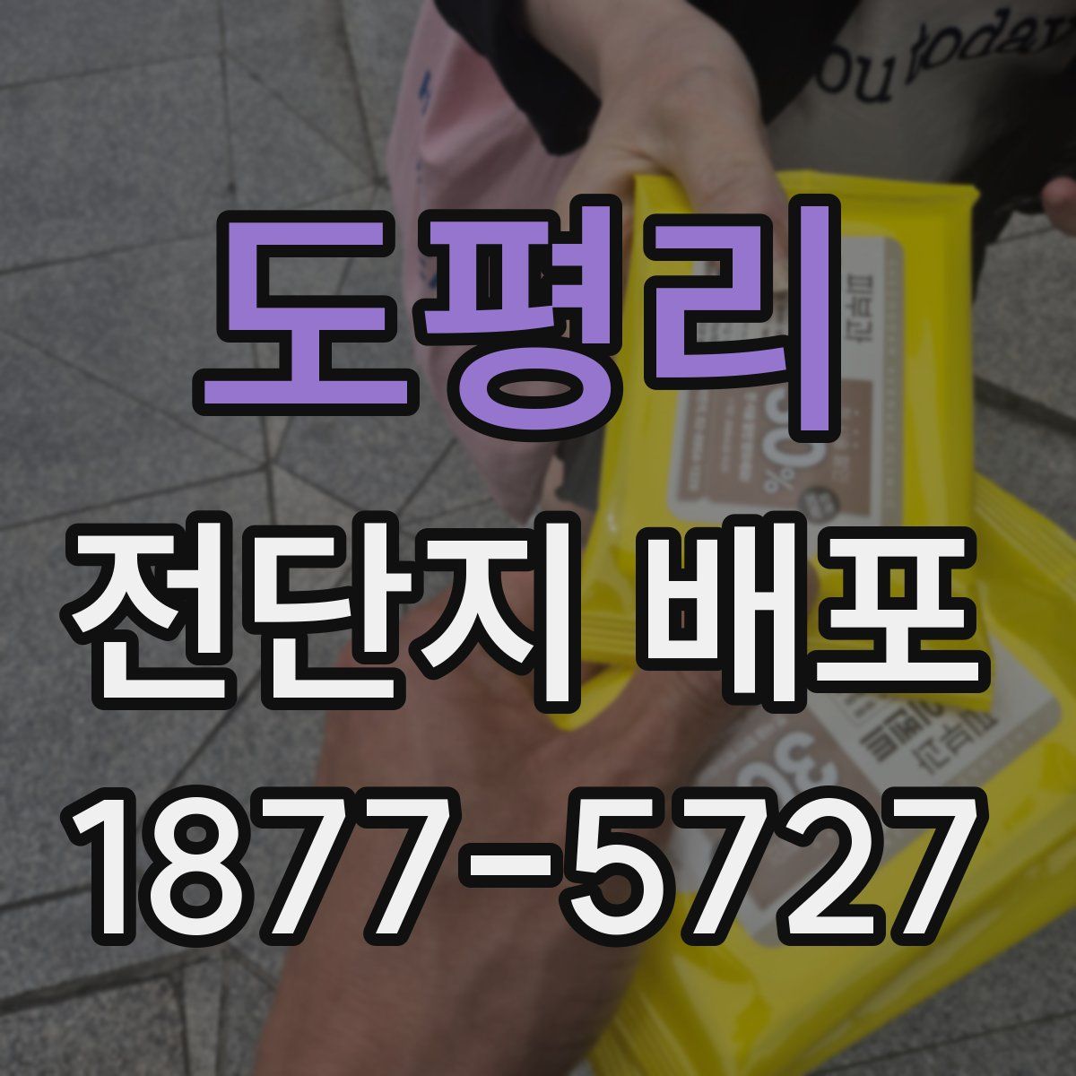 도평리 전단지 배포