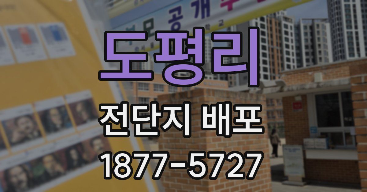 도평리 전단지 배포
