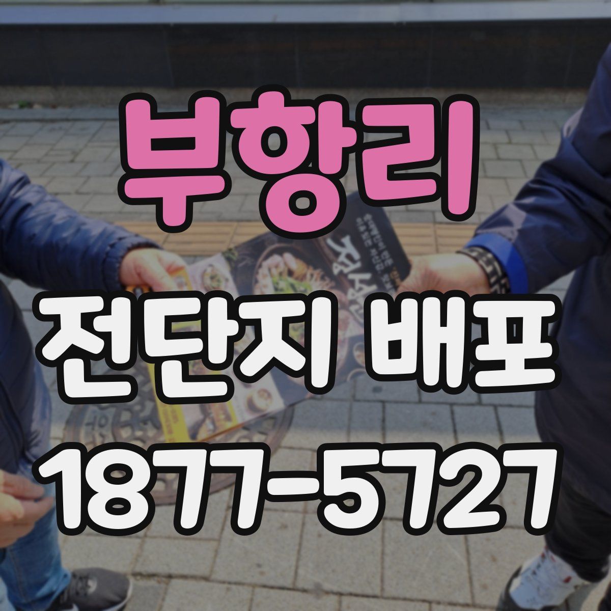 부항리 전단지 배포