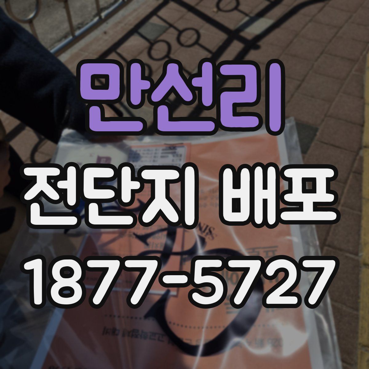 만선리 전단지 배포