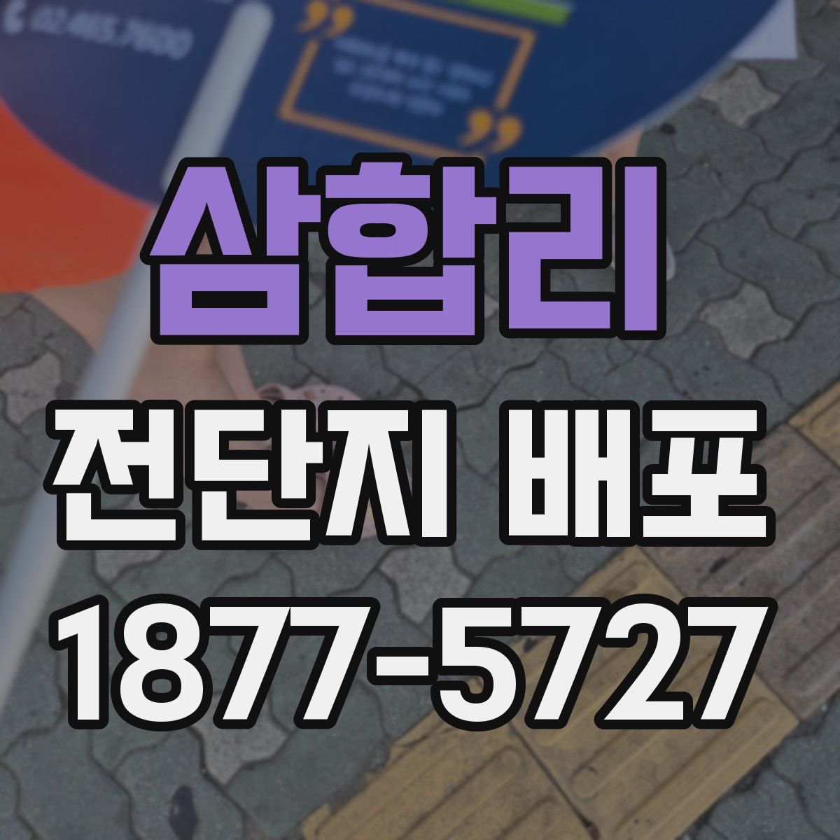 삼합리 전단지 배포