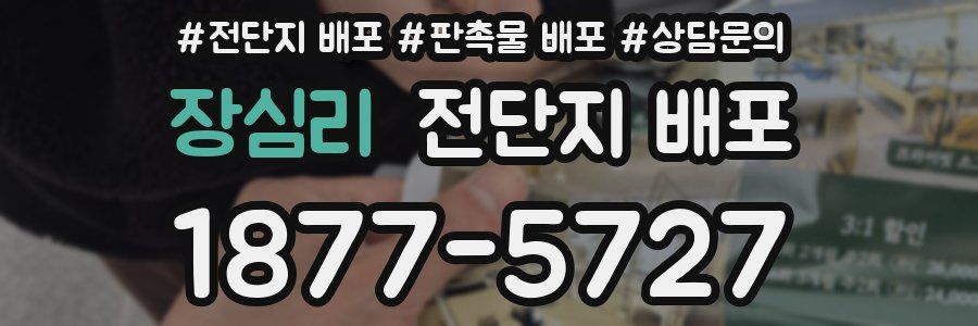 장심리 전단지 배포