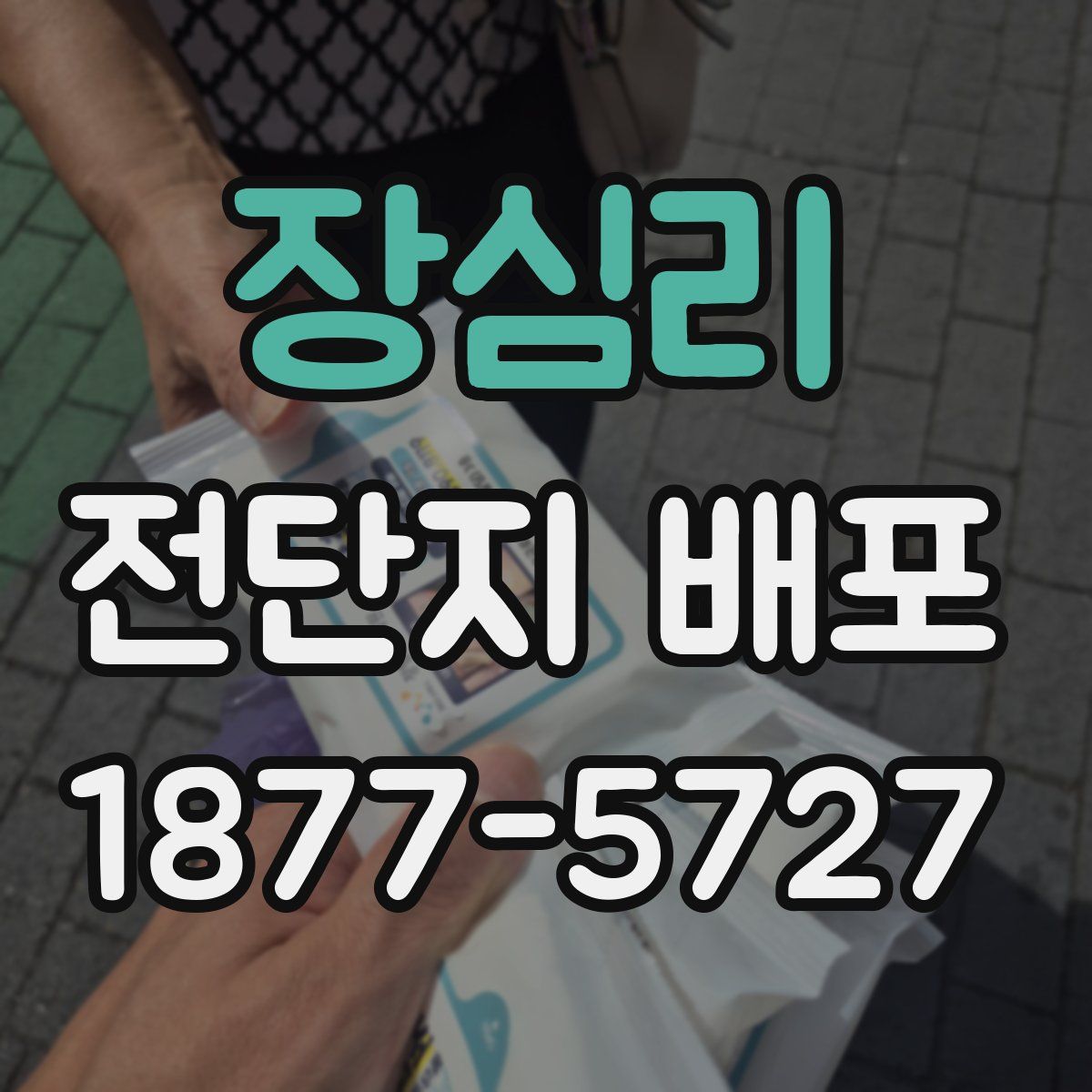 장심리 전단지 배포