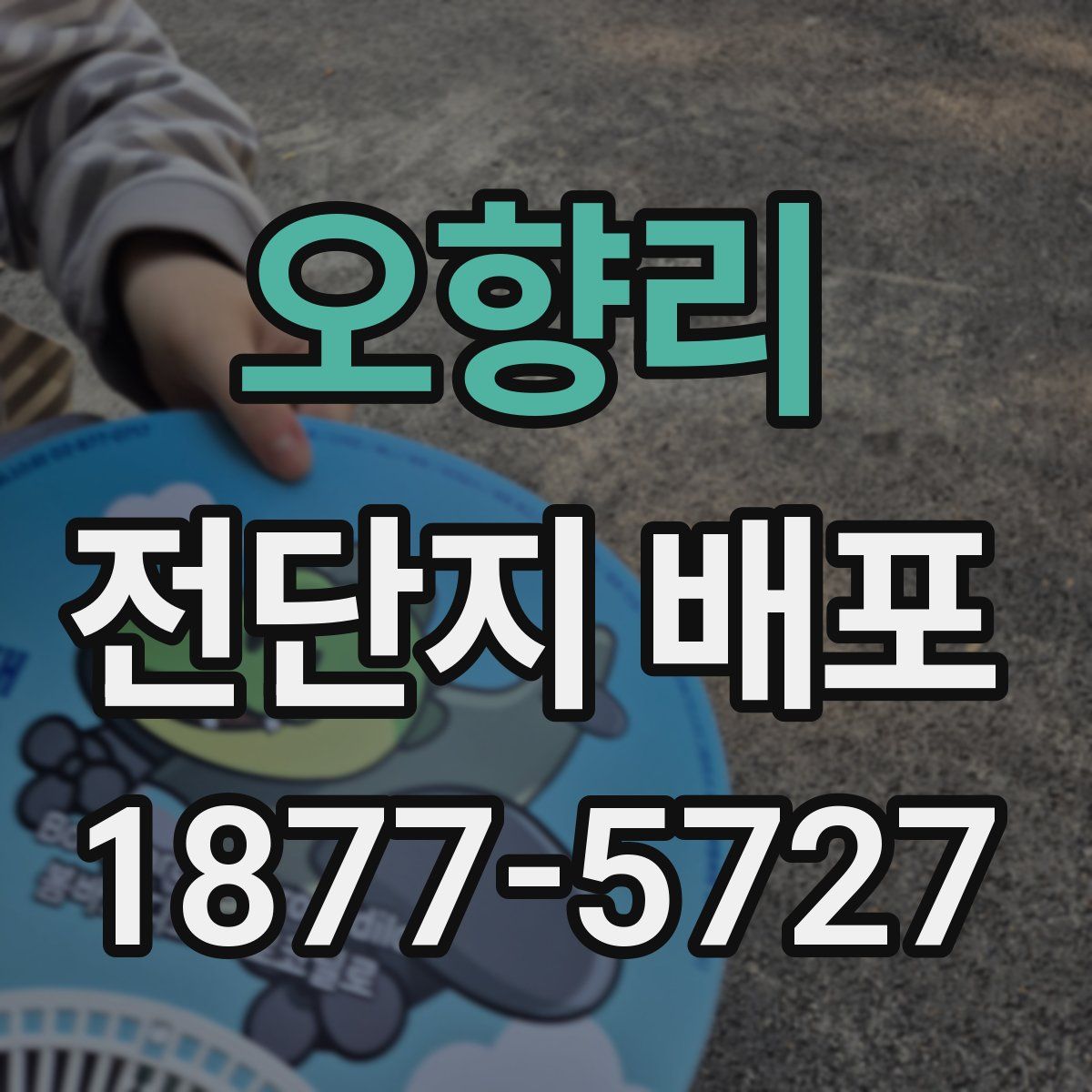 오향리 전단지 배포