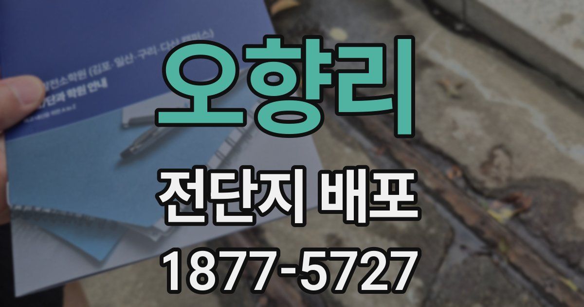 오향리 전단지 배포