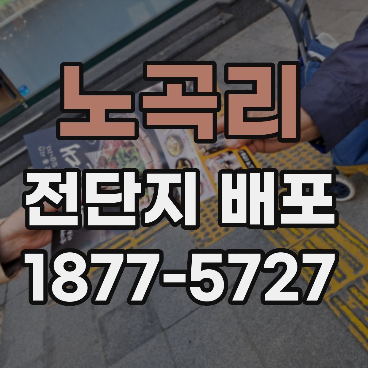 노곡리 전단지 배포