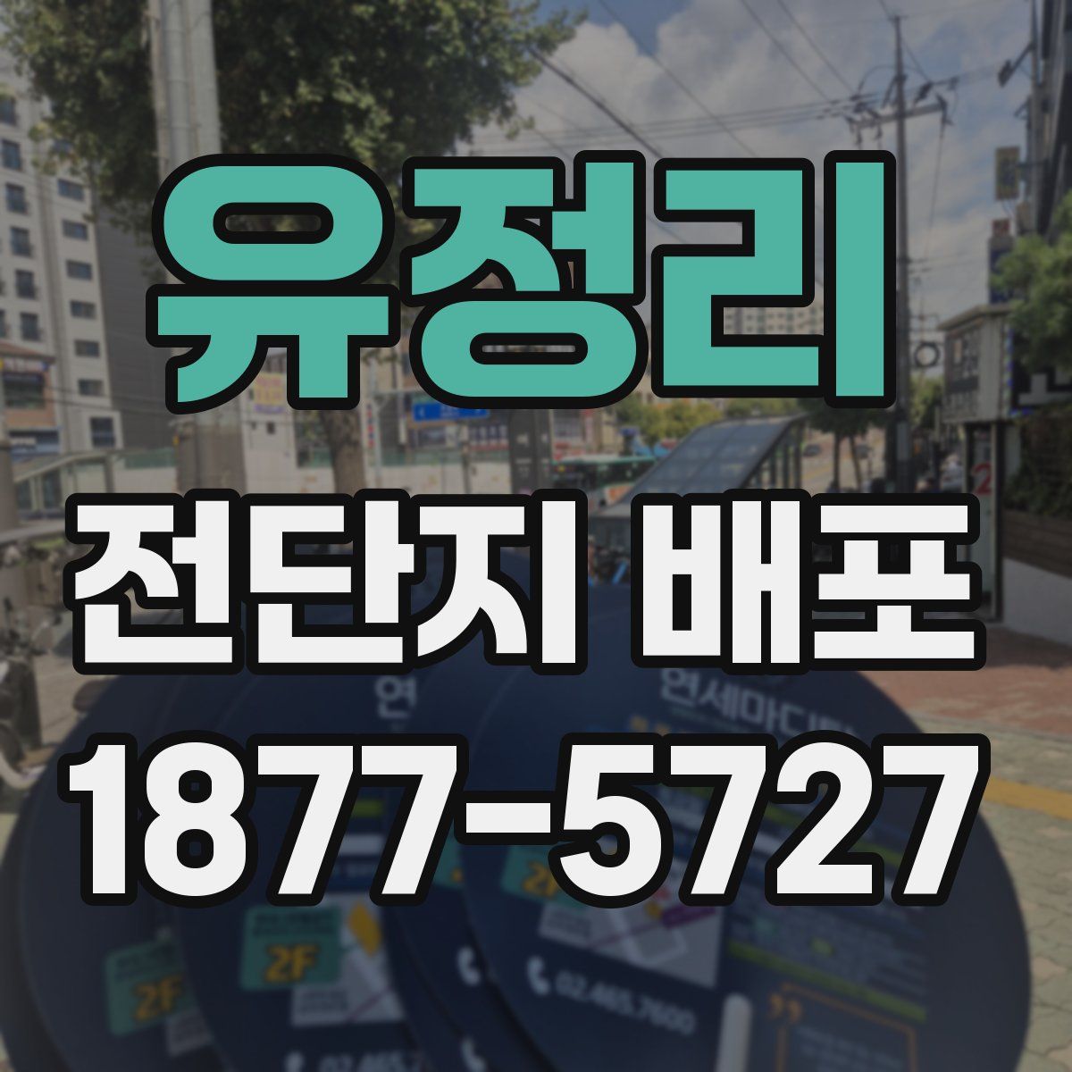 유정리 전단지 배포