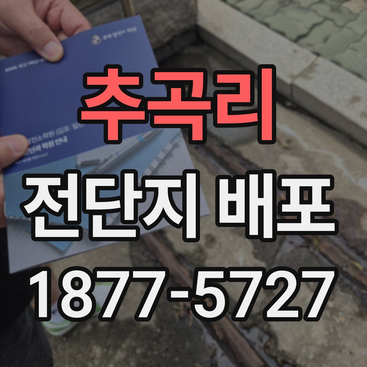 추곡리 전단지 배포