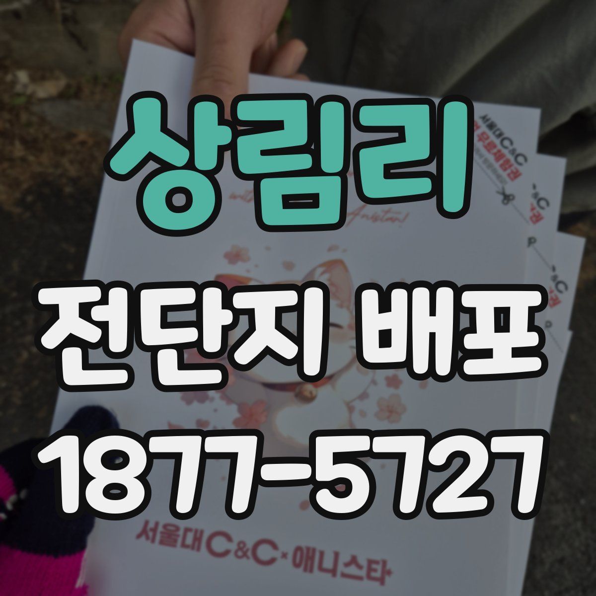 상림리 전단지 배포