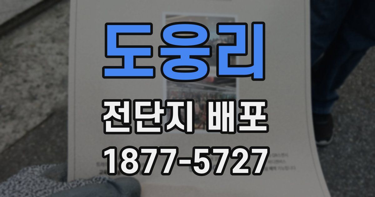 도웅리 전단지 배포