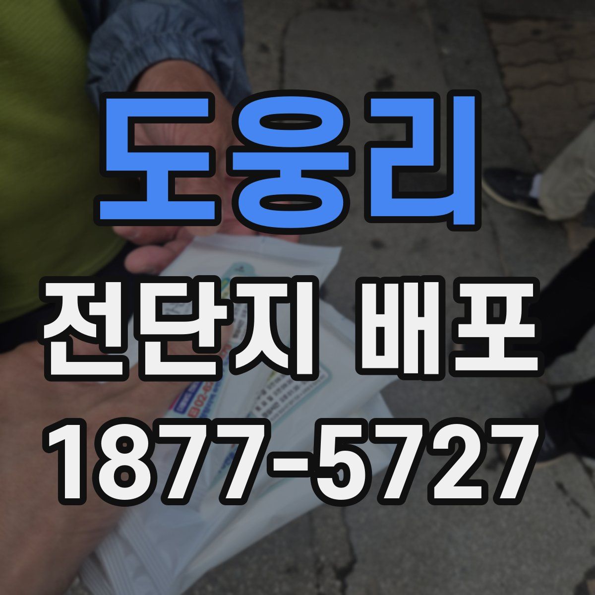 도웅리 전단지 배포