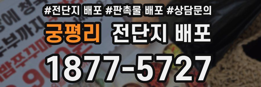 궁평리 전단지 배포