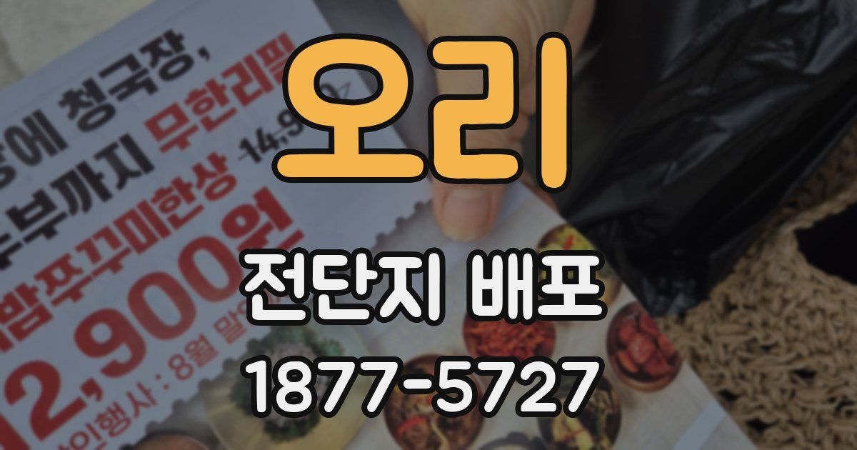 오리 전단지 배포