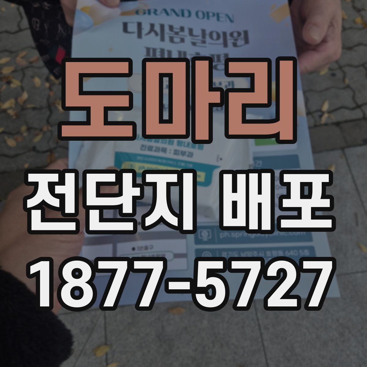도마리 전단지 배포