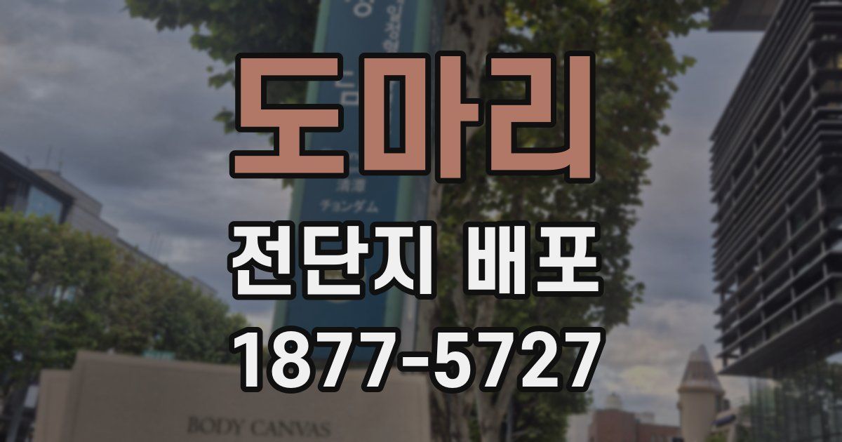 도마리 전단지 배포