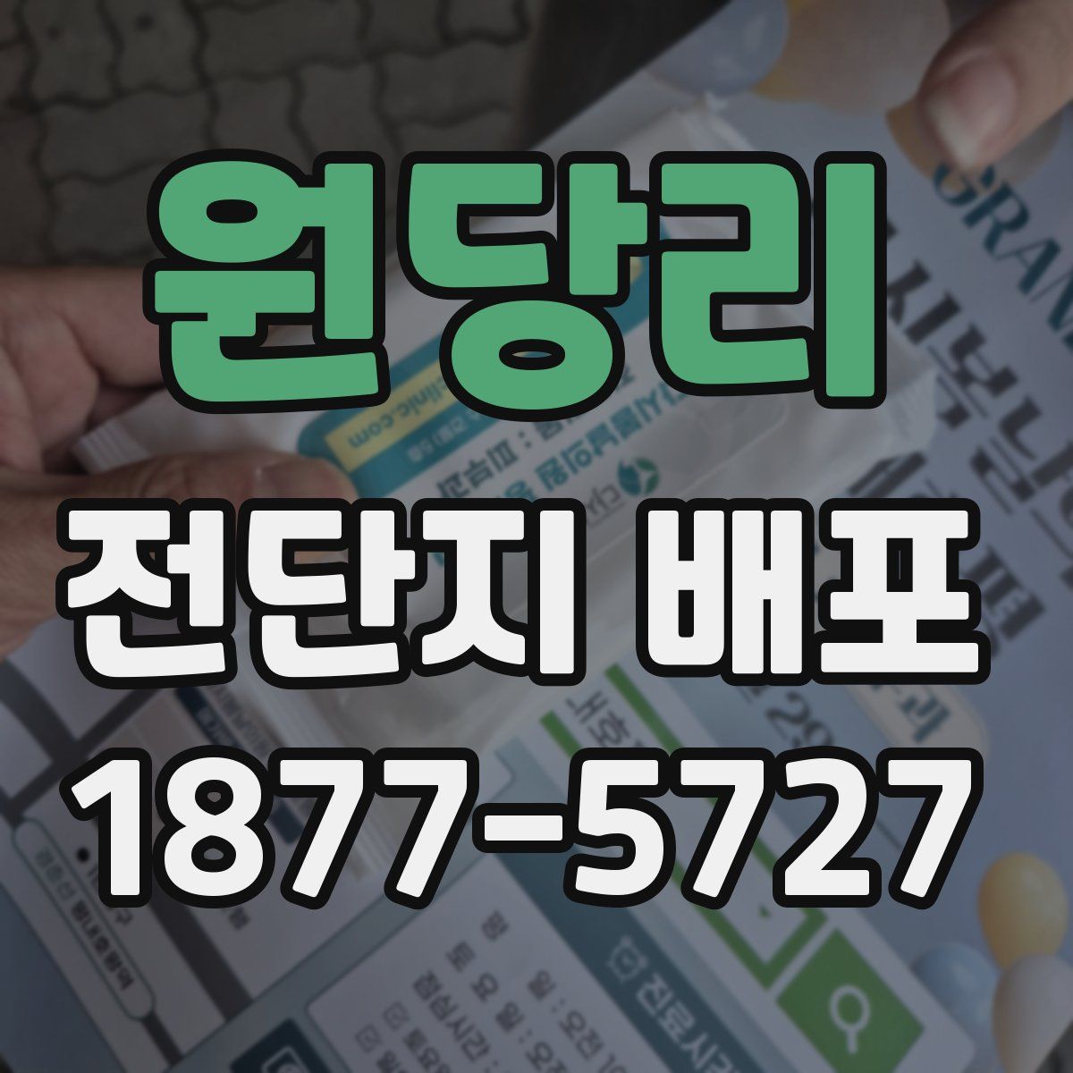 원당리 전단지 배포