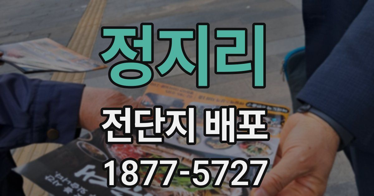 정지리 전단지 배포
