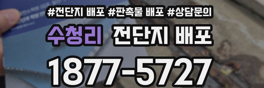수청리 전단지 배포