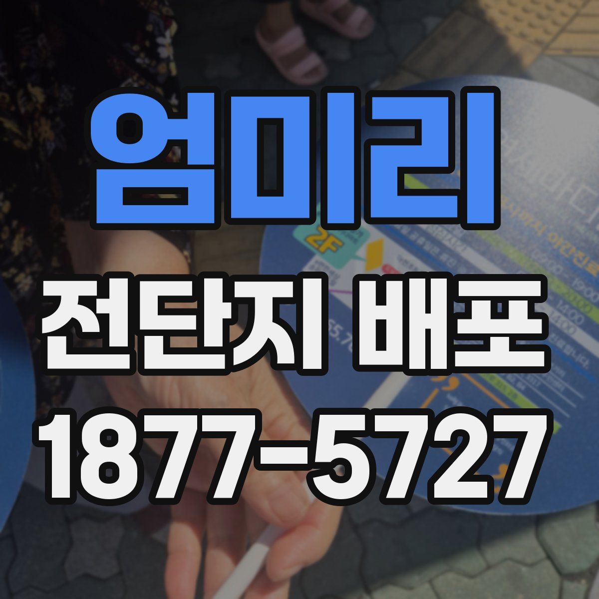 엄미리 전단지 배포