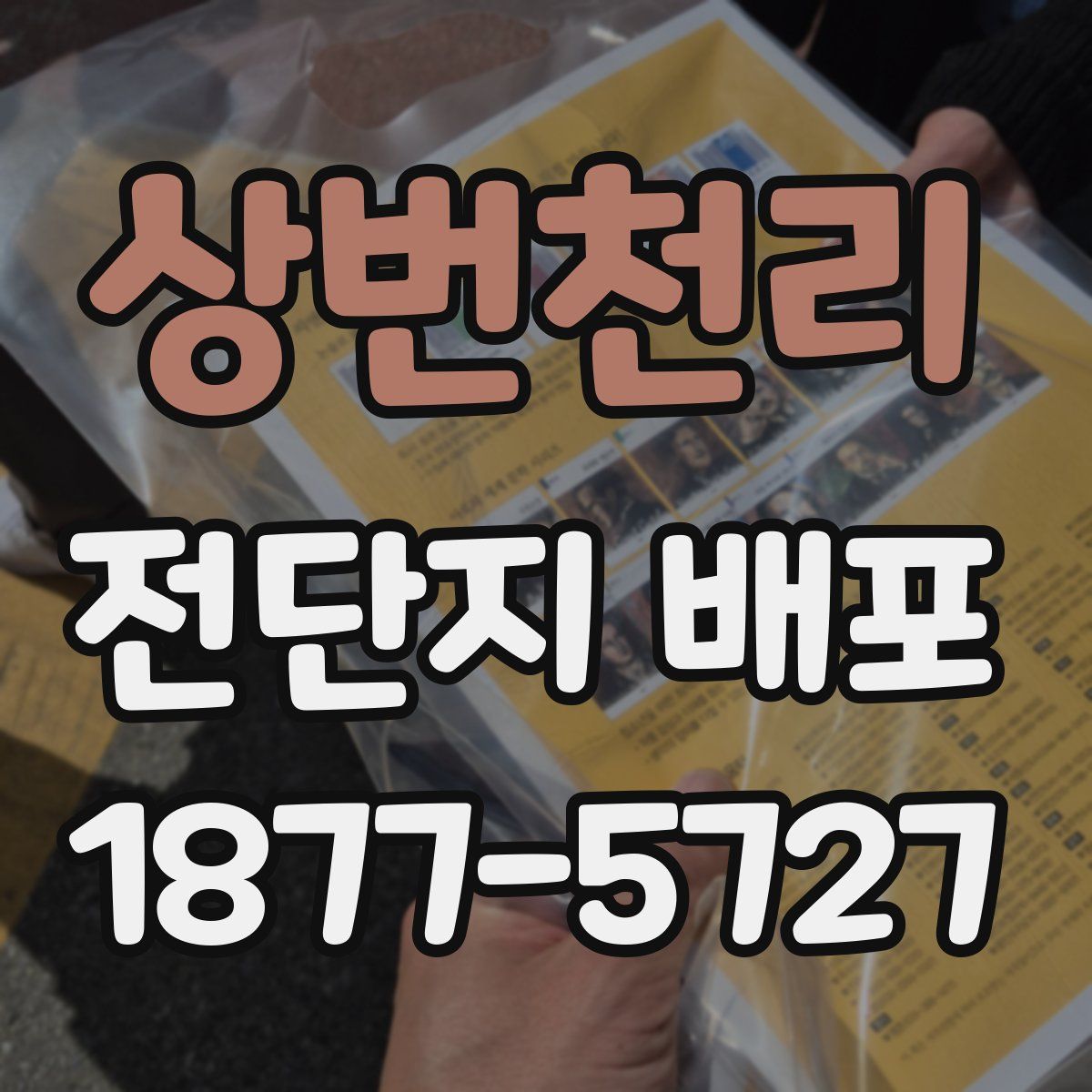 상번천리 전단지 배포