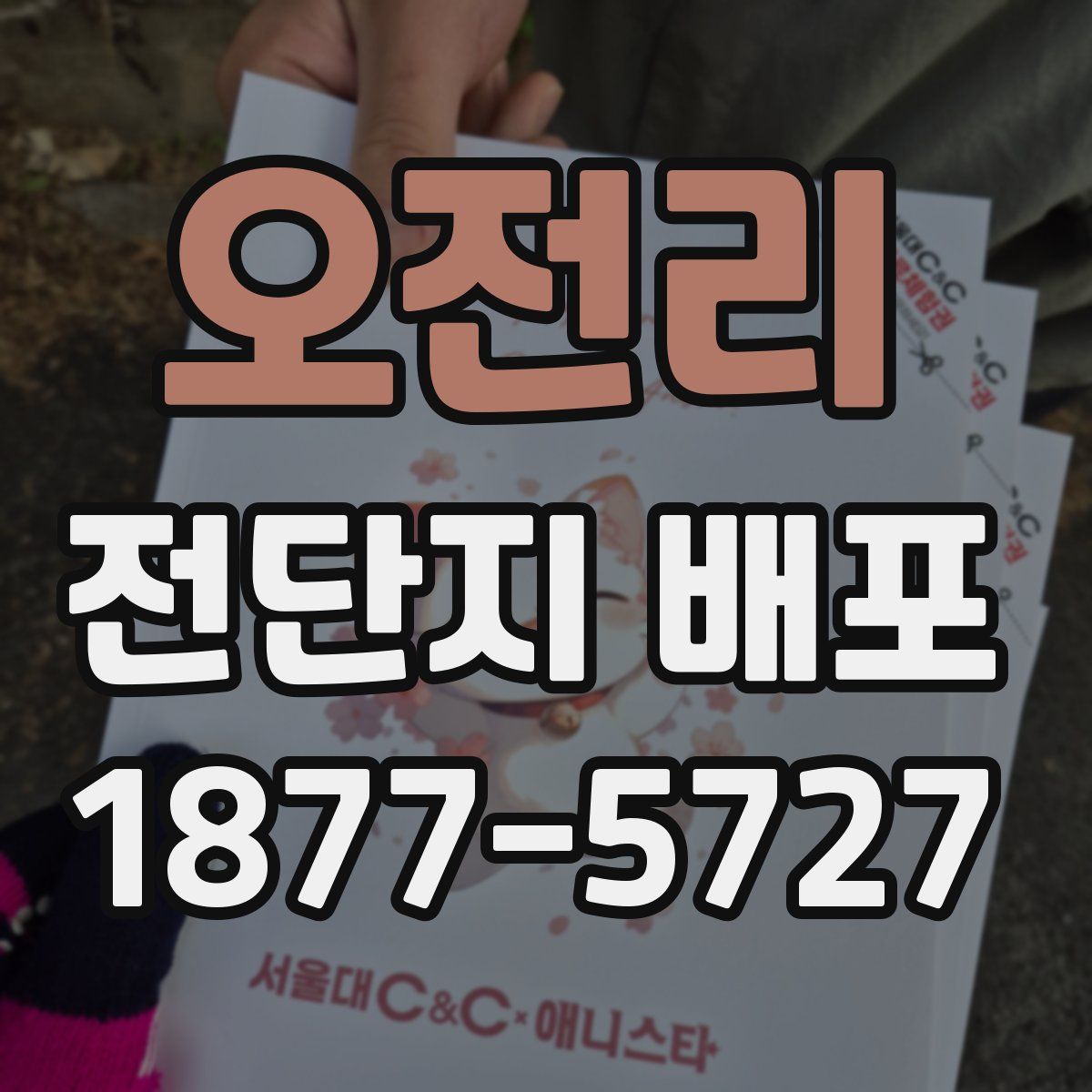 오전리 전단지 배포