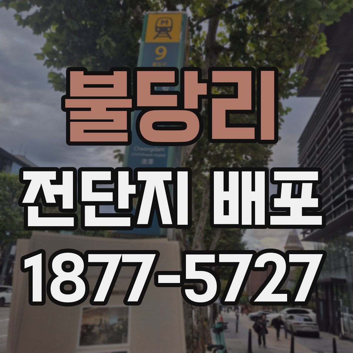 불당리 전단지 배포