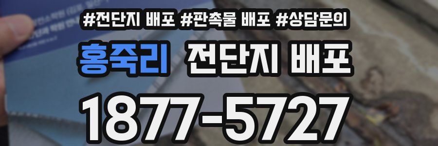 홍죽리 전단지 배포