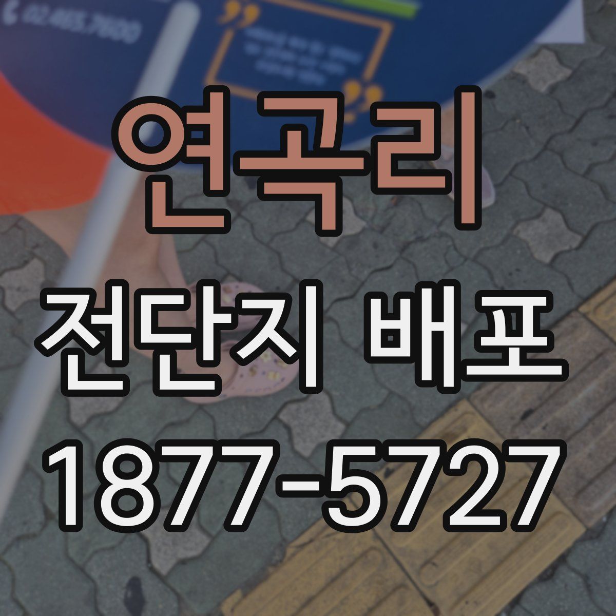 연곡리 전단지 배포