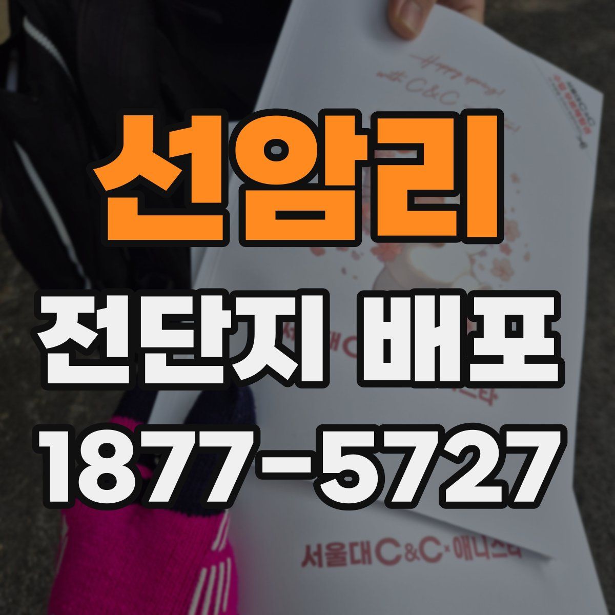 선암리 전단지 배포