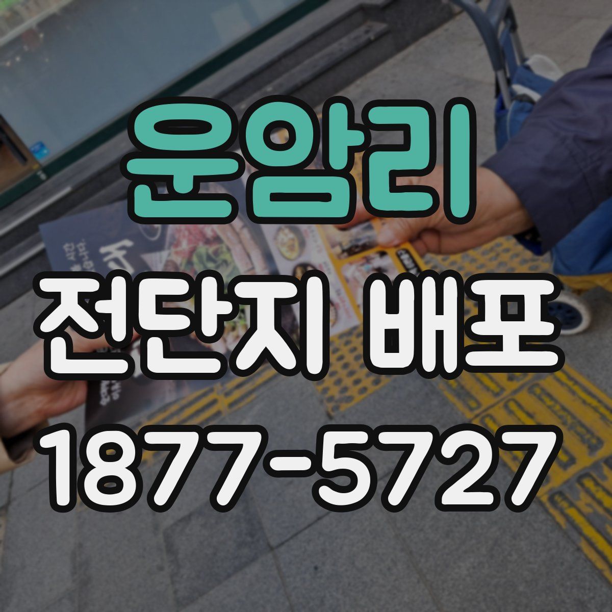 운암리 전단지 배포