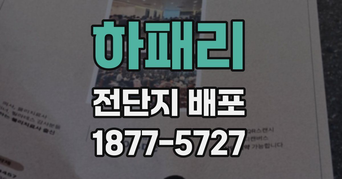 하패리 전단지 배포