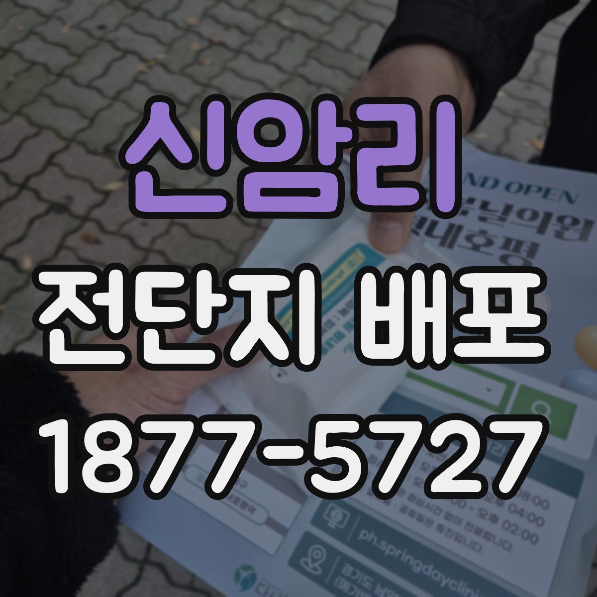 신암리 전단지 배포
