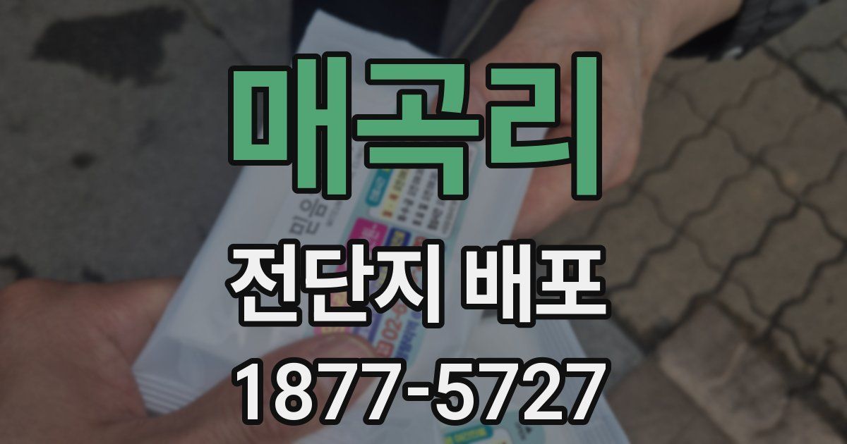 매곡리 전단지 배포
