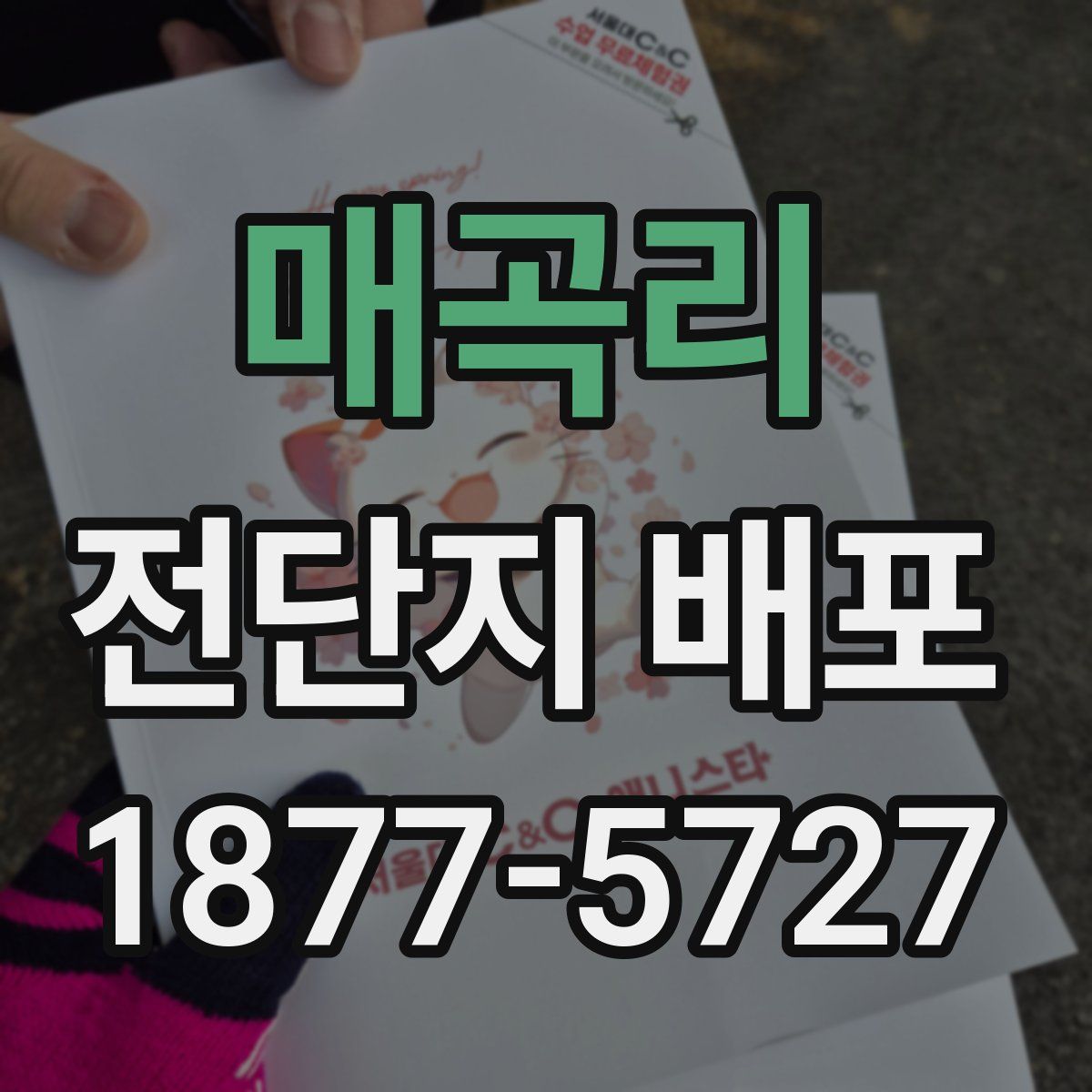 매곡리 전단지 배포
