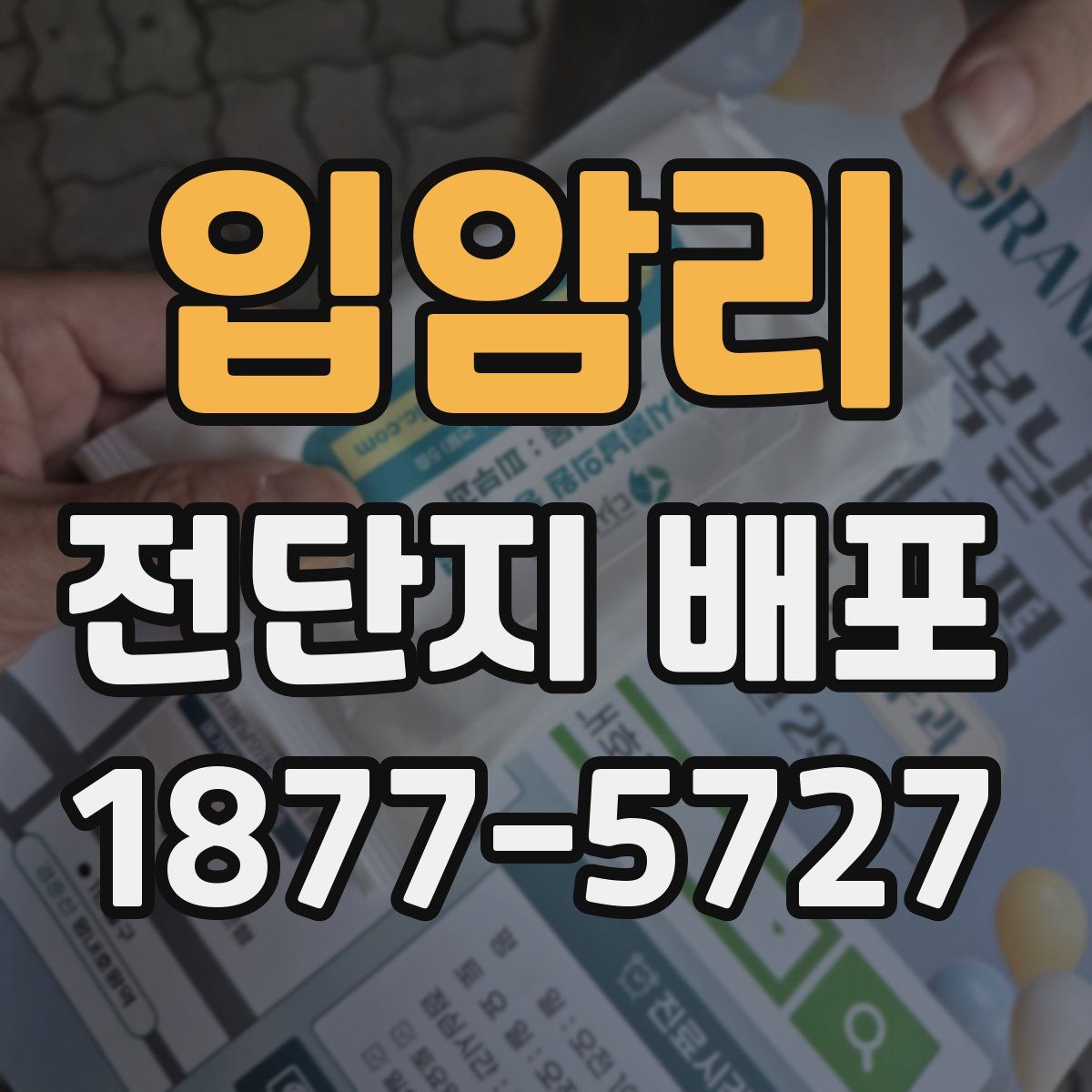 입암리 전단지 배포