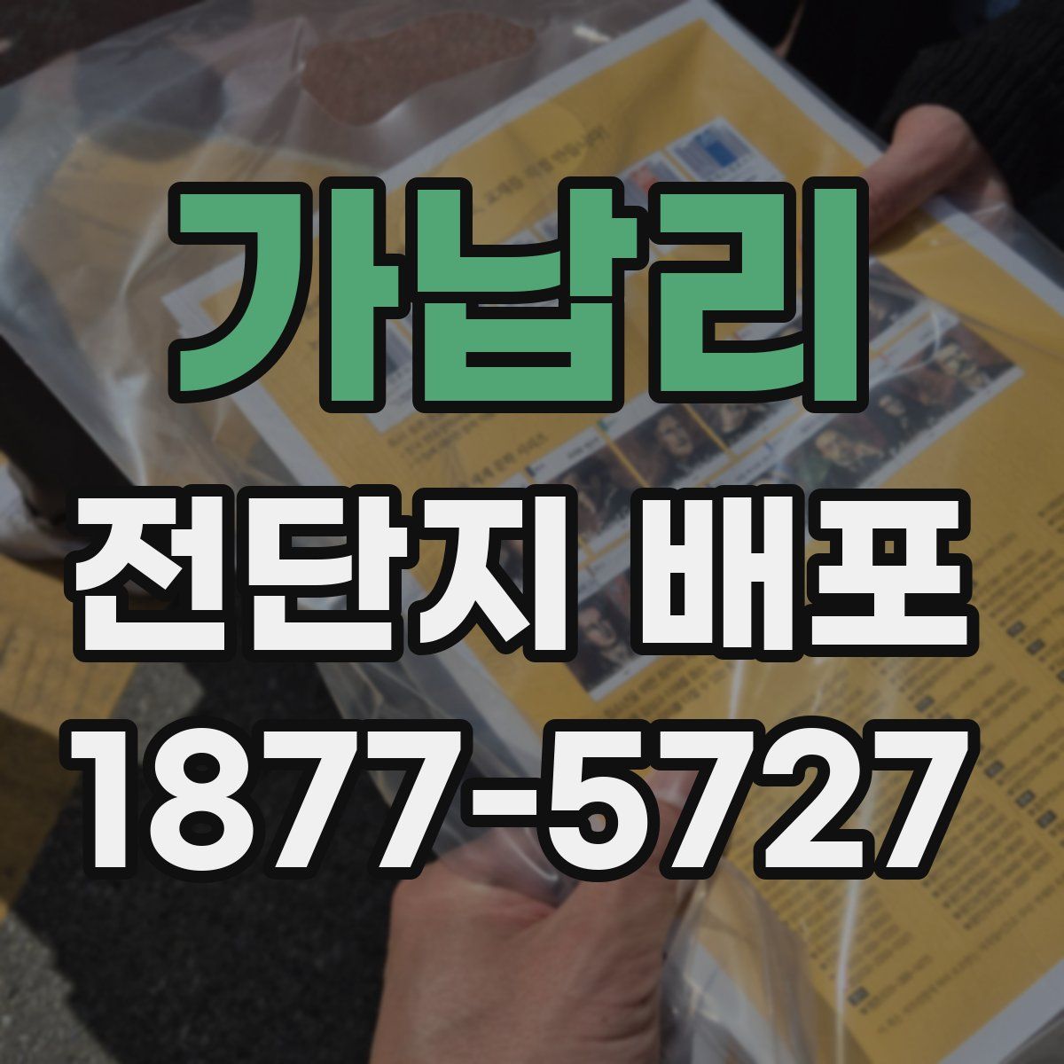 가납리 전단지 배포