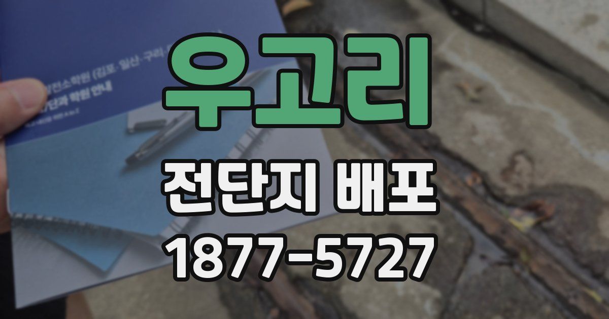 우고리 전단지 배포