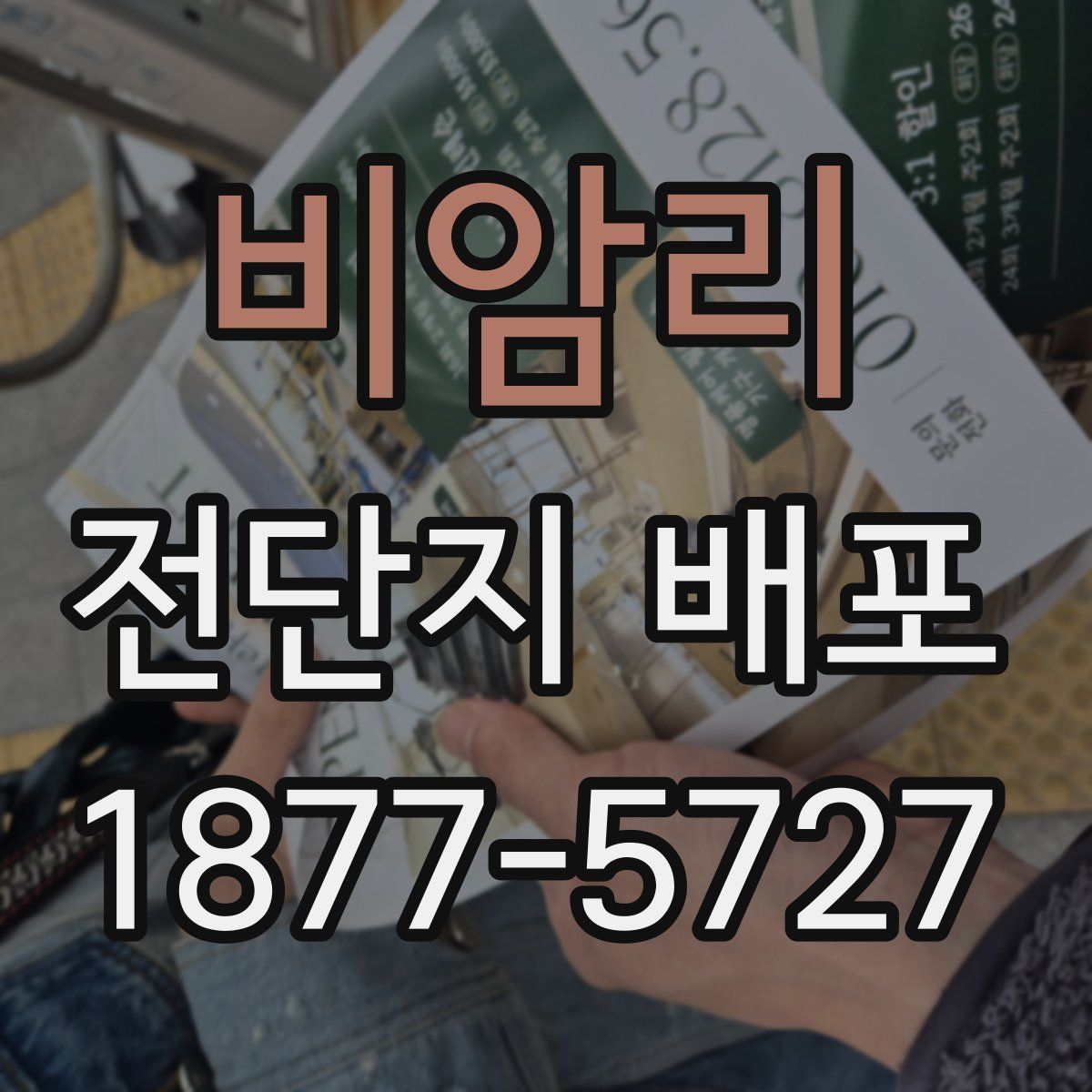 비암리 전단지 배포