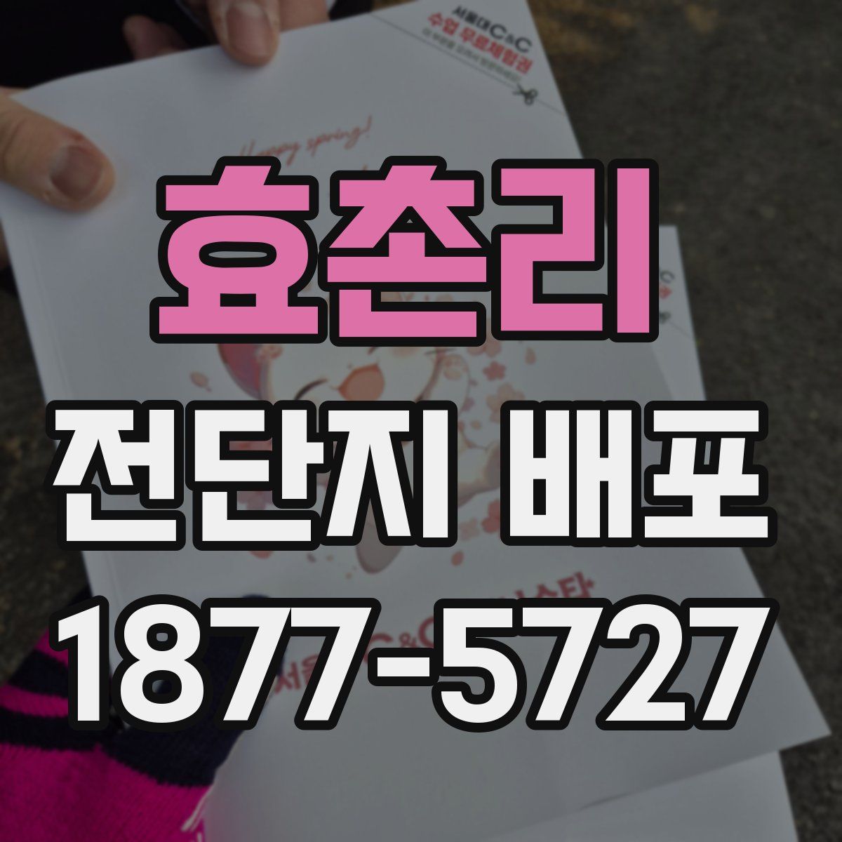 효촌리 전단지 배포