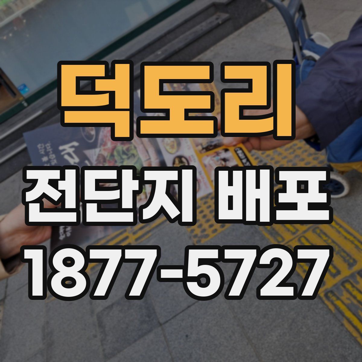 덕도리 전단지 배포