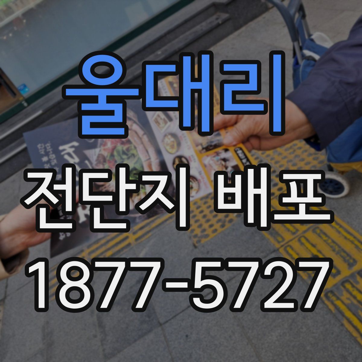 울대리 전단지 배포